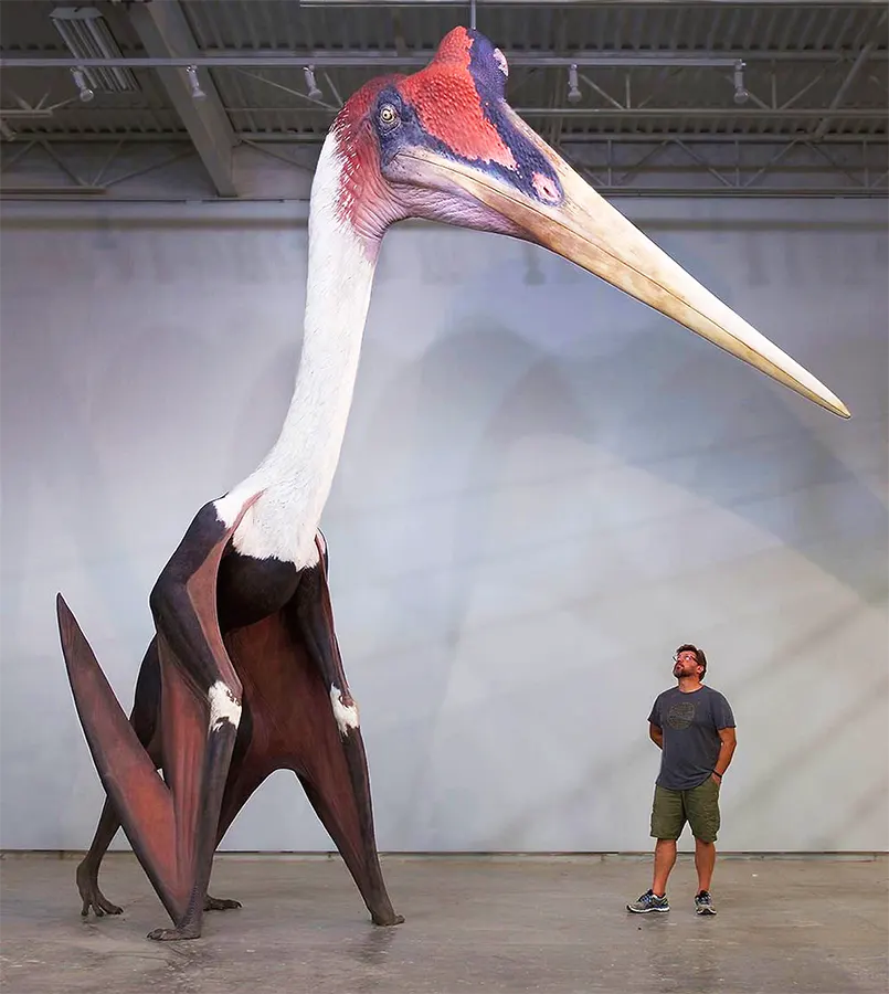 Quetzalcoatlus northropi
