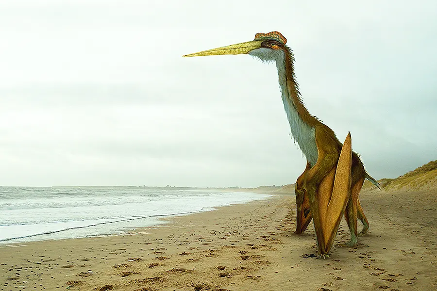 Quetzalcoatlus