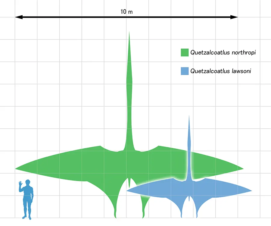 tamaño del Quetzalcoatlus